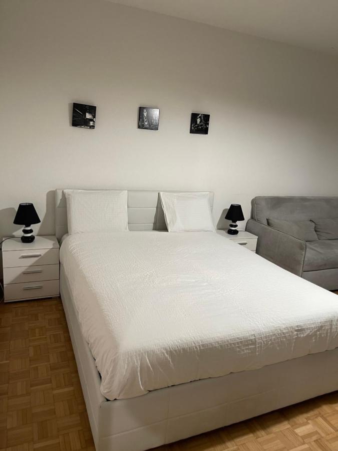 Cosy Apartment - Geneva Centre ภายนอก รูปภาพ